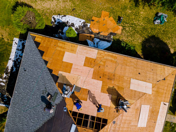 Best Roof Leak Repair  in Angola, NY